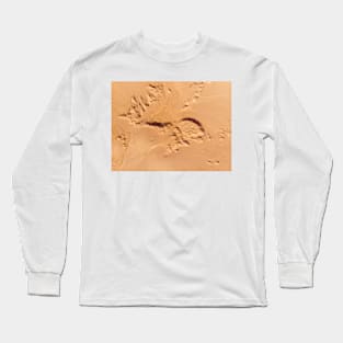 Desert aerial view Long Sleeve T-Shirt